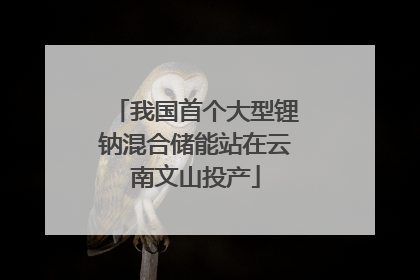 我国首个大型锂钠混合储能站在云南文山投产