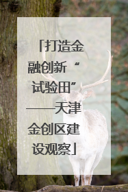 打造金融创新“试验田”——天津金创区建设观察