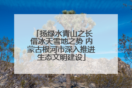 扬绿水青山之长 借冰天雪地之势 内蒙古根河市深入推进生态文明建设