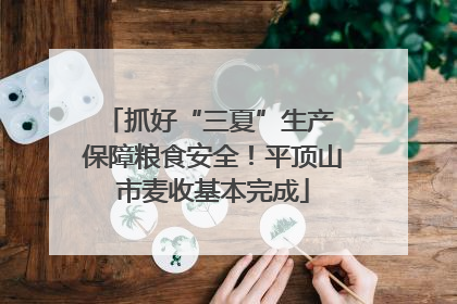 抓好“三夏”生产 保障粮食安全！平顶山市麦收基本完成