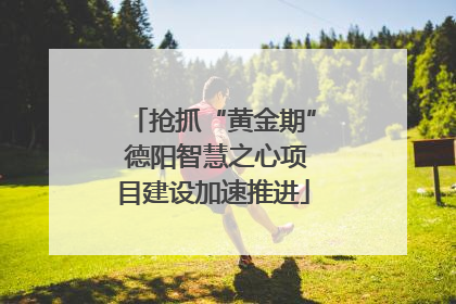 抢抓“黄金期” 德阳智慧之心项目建设加速推进