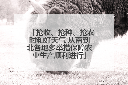 抢收、抢种、抢农时和好天气 从南到北各地多举措保障农业生产顺利进行