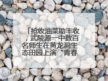 抢收油菜助丰收，武陵源一中数百名师生在黄龙洞生态田园上演“青春助农记”
