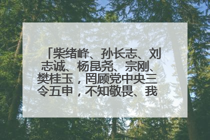 柴绪峰、孙长志、刘志诚、杨昆尧、宗刚、樊桂玉，罔顾党中央三令五申，不知敬畏、我行我素、肆意妄为！