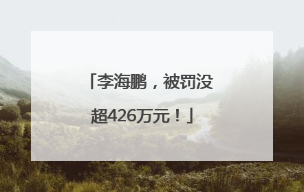李海鹏，被罚没超426万元！