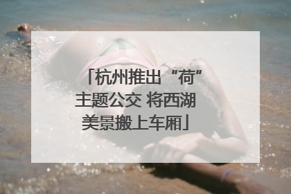 杭州推出“荷”主题公交 将西湖美景搬上车厢