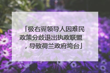 极右翼领导人因难民政策分歧退出执政联盟，导致荷兰政府垮台