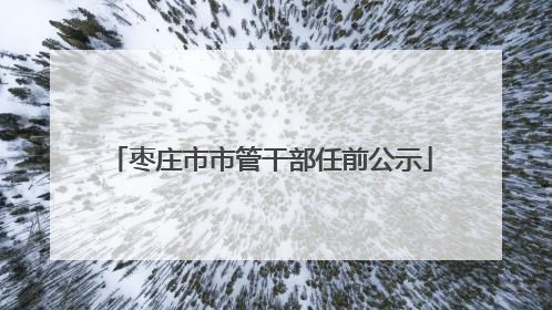 枣庄市市管干部任前公示
