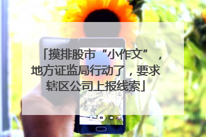 摸排股市“小作文”，地方证监局行动了，要求辖区公司上报线索