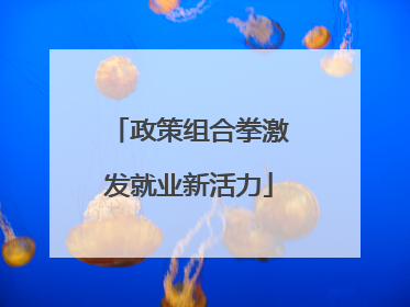 政策组合拳激发就业新活力