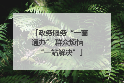 政务服务“一窗通办” 群众烦恼“一站解决”