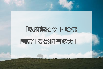 政府禁招令下 哈佛国际生受影响有多大