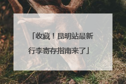 收藏！昆明站最新行李寄存指南来了
