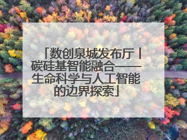 数创泉城发布厅丨碳硅基智能融合——生命科学与人工智能的边界探索