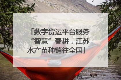 数字货运平台服务“智慧”春耕，江苏水产苗种销往全国
