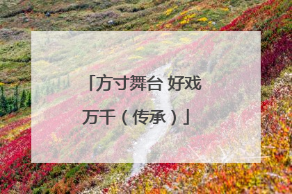 方寸舞台 好戏万千（传承）