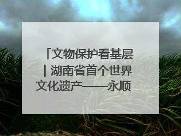 文物保护看基层｜湖南省首个世界文化遗产——永顺老司城遗址