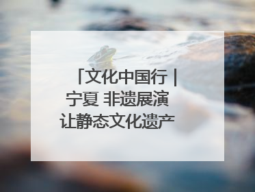 文化中国行｜宁夏 非遗展演让静态文化遗产“活”起来