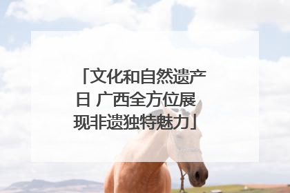 文化和自然遗产日 广西全方位展现非遗独特魅力