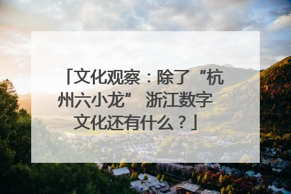 文化观察：除了“杭州六小龙” 浙江数字文化还有什么？