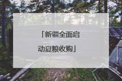 新疆全面启动夏粮收购