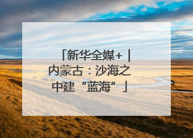 新华全媒+｜内蒙古：沙海之中建“蓝海”