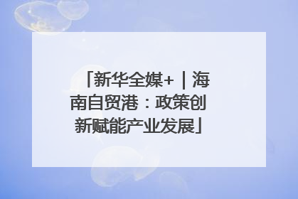 新华全媒+｜海南自贸港：政策创新赋能产业发展