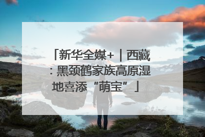 新华全媒+｜西藏：黑颈鹤家族高原湿地喜添“萌宝”