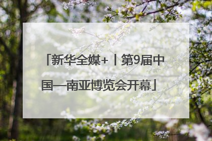 新华全媒+丨第9届中国—南亚博览会开幕