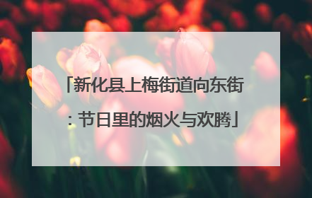 新化县上梅街道向东街:节日里的烟火与欢腾