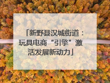 新野县汉城街道：玩具电商“引擎”激活发展新动力