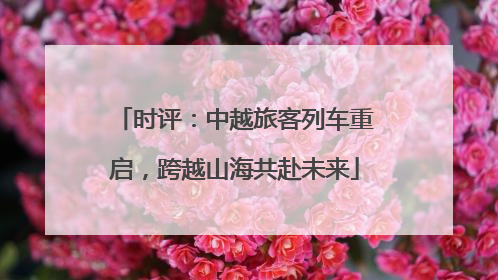时评：中越旅客列车重启，跨越山海共赴未来