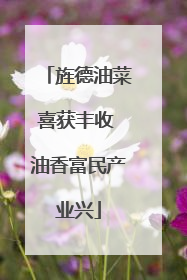 旌德油菜喜获丰收 油香富民产业兴