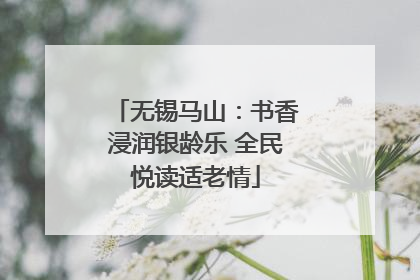 无锡马山:书香浸润银龄乐 全民悦读适老情