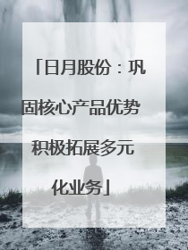 日月股份：巩固核心产品优势 积极拓展多元化业务