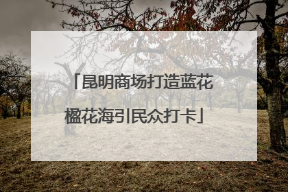 昆明商场打造蓝花楹花海引民众打卡