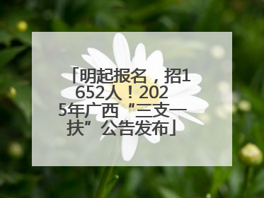 明起报名，招1652人！2025年广西“三支一扶”公告发布
