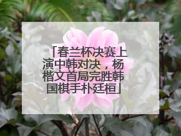 春兰杯决赛上演中韩对决，杨楷文首局完胜韩国棋手朴廷桓
