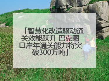 智慧化改造驱动通关效能跃升 巴克图口岸年通关能力将突破300万吨