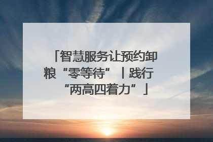 智慧服务让预约卸粮“零等待”丨践行“两高四着力”