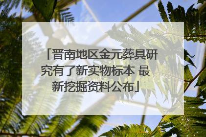 晋南地区金元葬具研究有了新实物标本 最新挖掘资料公布