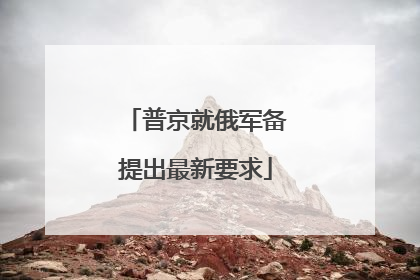 普京就俄军备提出最新要求