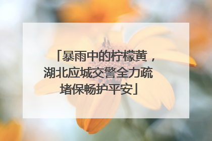 暴雨中的柠檬黄，湖北应城交警全力疏堵保畅护平安