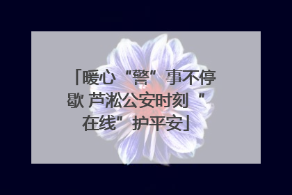 暖心“警”事不停歇 芦淞公安时刻“在线”护平安
