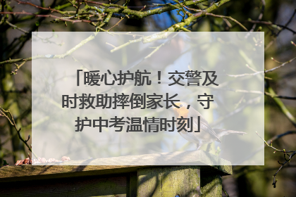 暖心护航！交警及时救助摔倒家长，守护中考温情时刻