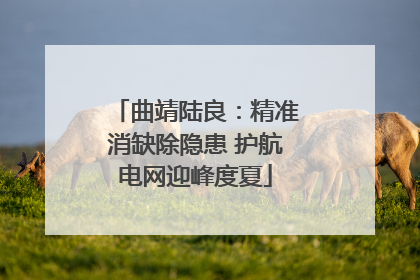 曲靖陆良：精准消缺除隐患 护航电网迎峰度夏