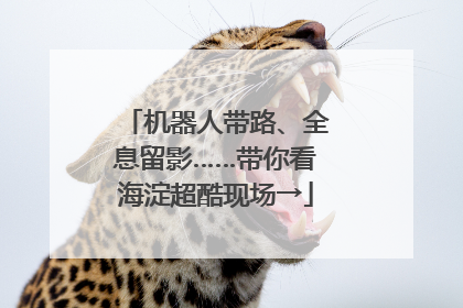 机器人带路、全息留影……带你看海淀超酷现场→