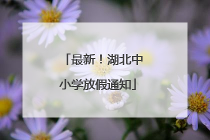最新！湖北中小学放假通知