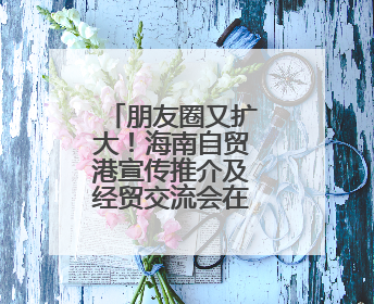 朋友圈又扩大！海南自贸港宣传推介及经贸交流会在大阪举办
