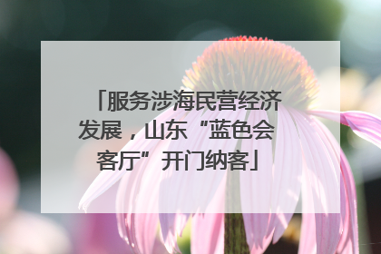 服务涉海民营经济发展，山东“蓝色会客厅”开门纳客
